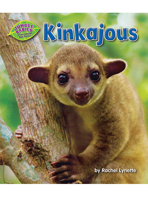 Title details for Kinkajous by Rachel Lynette - Available